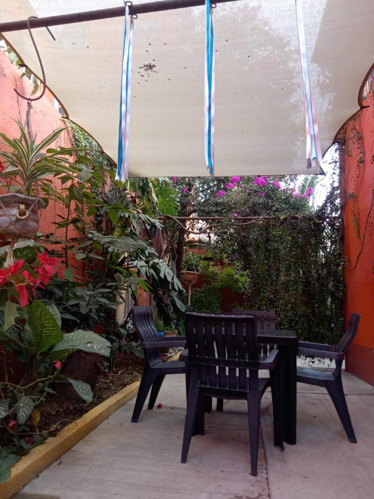 Casa Guanab Guest House Oaxaca Екстериор снимка