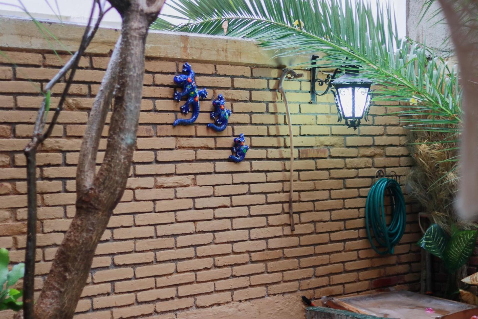 Casa Guanab Guest House Oaxaca Екстериор снимка